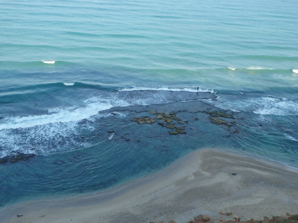 Средиземное море: возрождение