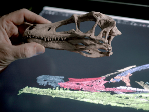 Времена гигантов