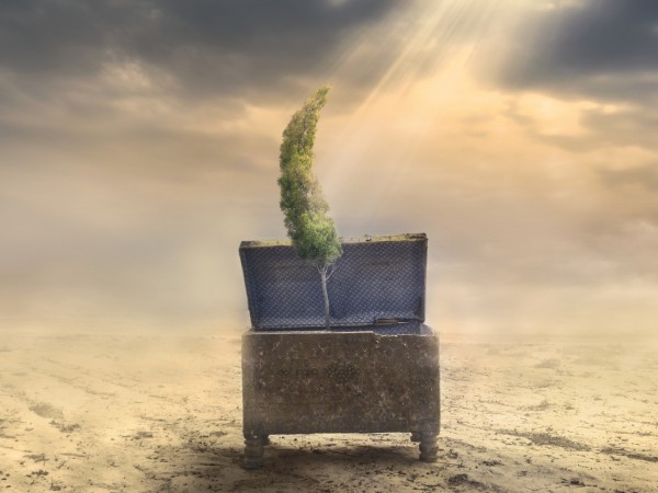 Ученые ищут разум