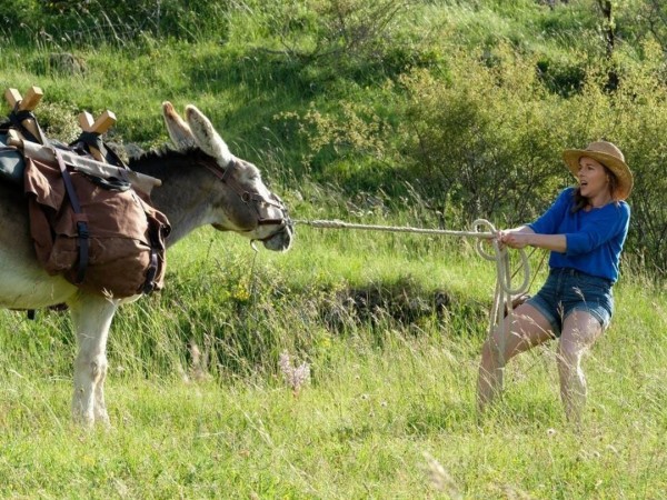 Ослик, любовник и я (2)