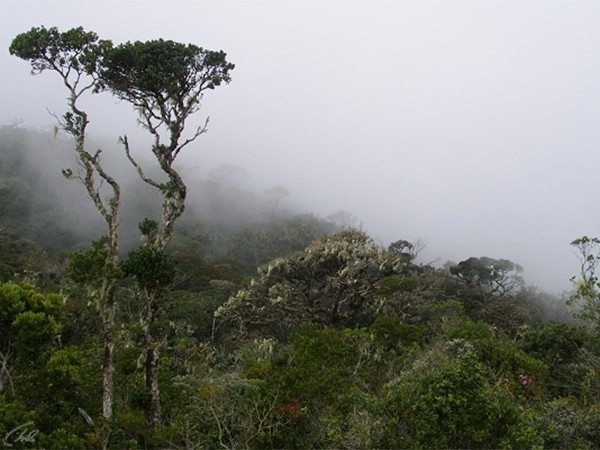 Дикая Шри-Ланка