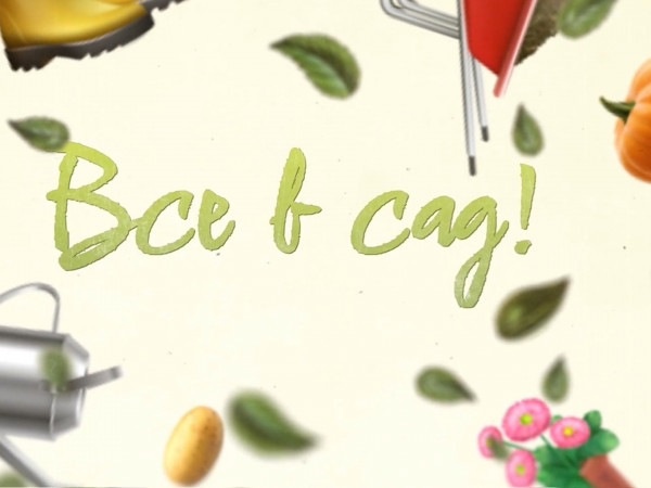 Все в сад!