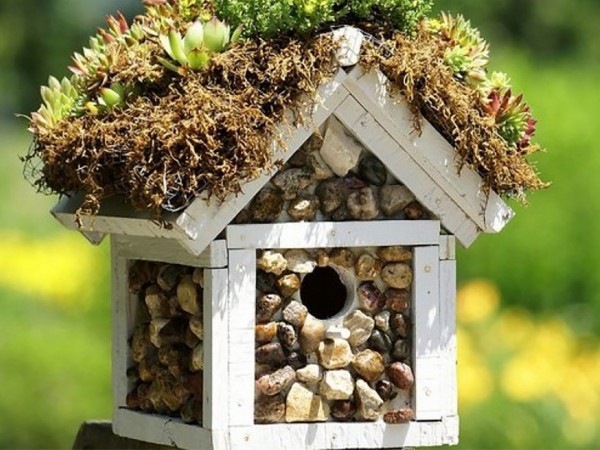 Дачные хитрости (2)