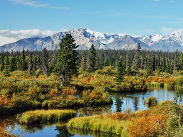Уай ту Уай. От Йеллоустоуна до Юкона