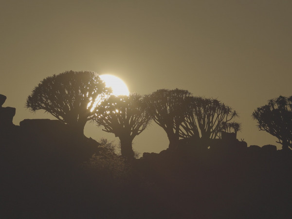 Дикая Намибия