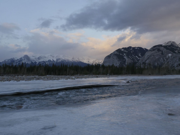 Пума. По следу призрака