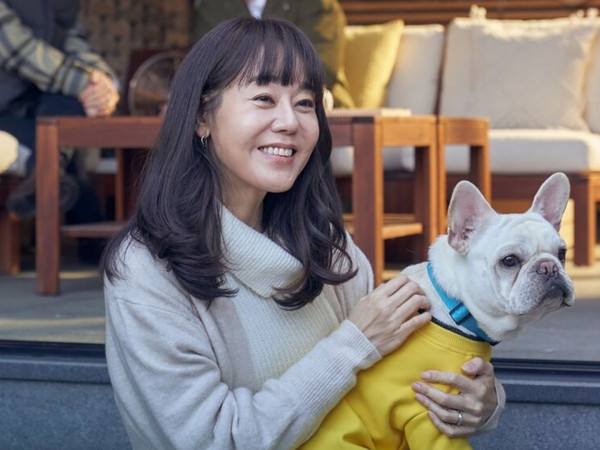 Хвостатый переполох