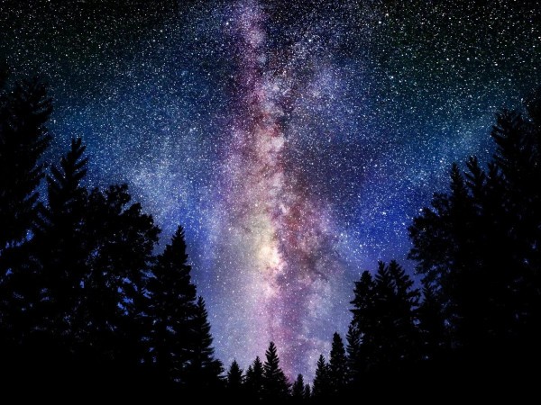 Спроси ученого