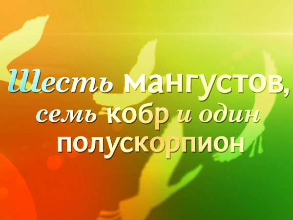 Шесть мангустов, семь кобр и один полускорпион. К 85-летию Николая Дроздова (2)