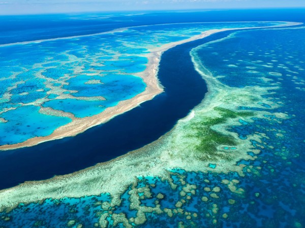 Большой Барьерный риф