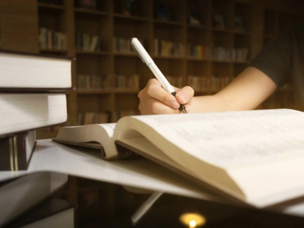 Писатель о писателях