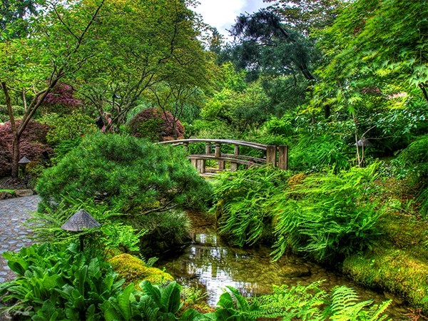 Сад своими руками