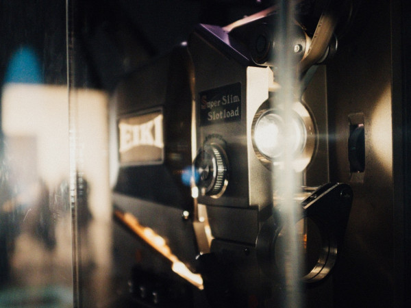 На поиски динозавров