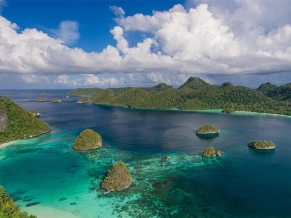 В гостях у каннибалов