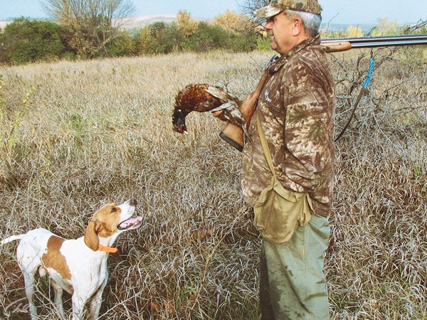 Собака на охоте