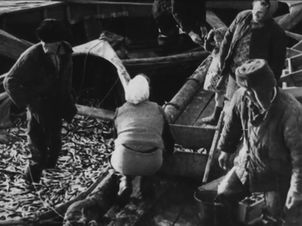 Корюшка для фронта