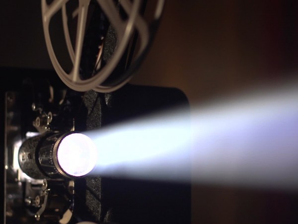 Отслеживание животных из космоса