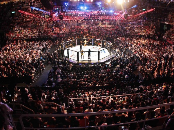 Смешанные единоборства