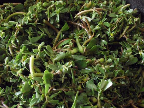 Кухня под ногами