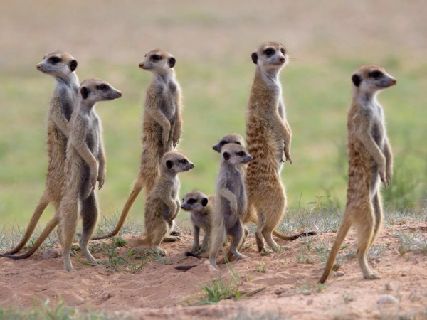 Жизнь вопреки (2)