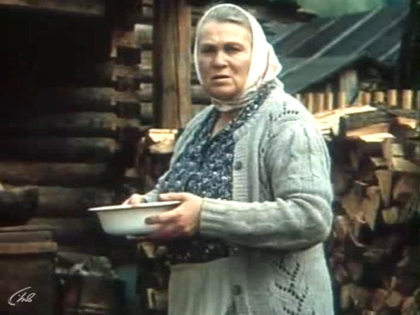 Во бору брусника (3)