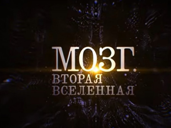Мозг. Вторая Вселенная