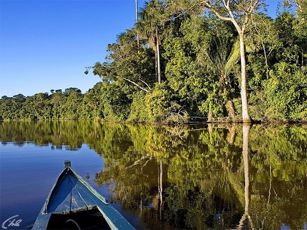 В джунглях на каноэ
