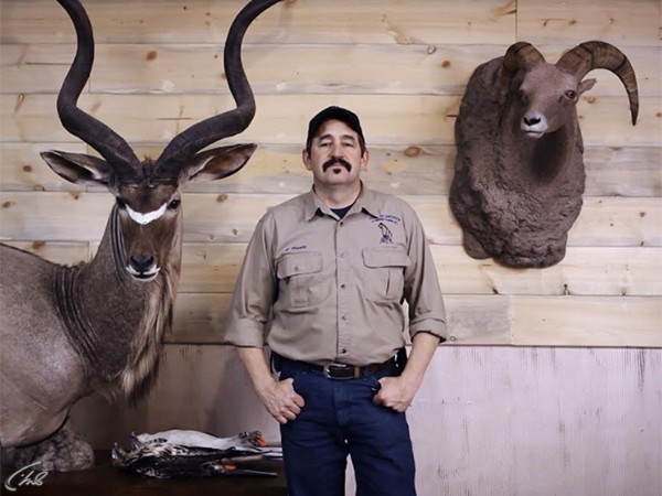 Таксидермисты