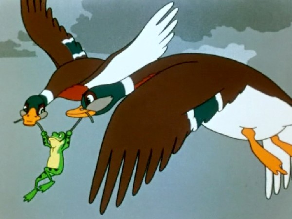 Лягушка-путешественница (6)