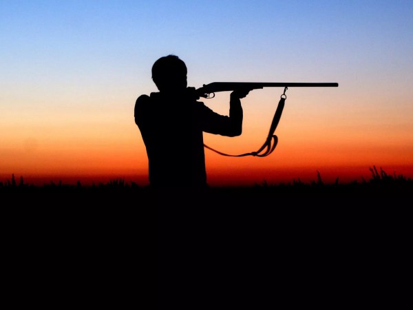 За носорогом в ЮАР