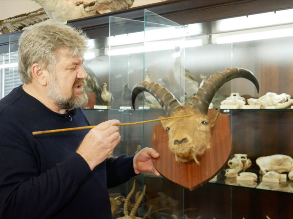 Неведомые чудовища на Земле. Научное расследование Сергея Малозёмова (2)