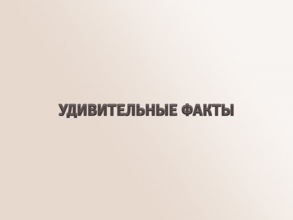 Удивительные факты