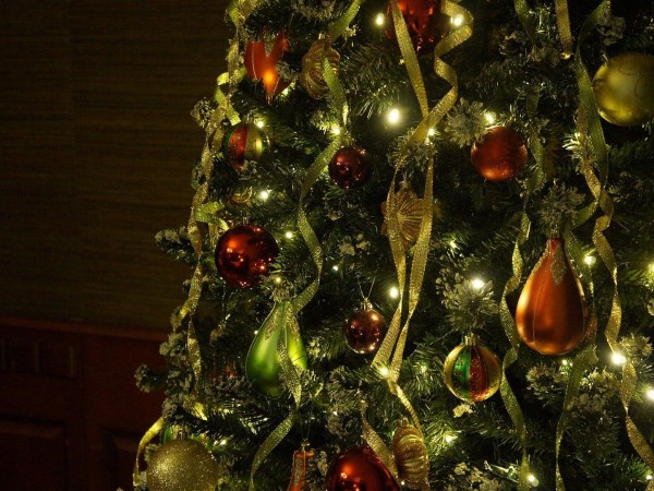 У Новогодней ёлки