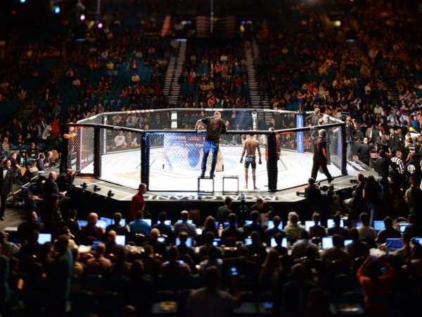 Смешанные единоборства. Кубок Великоросса: Время новых героев