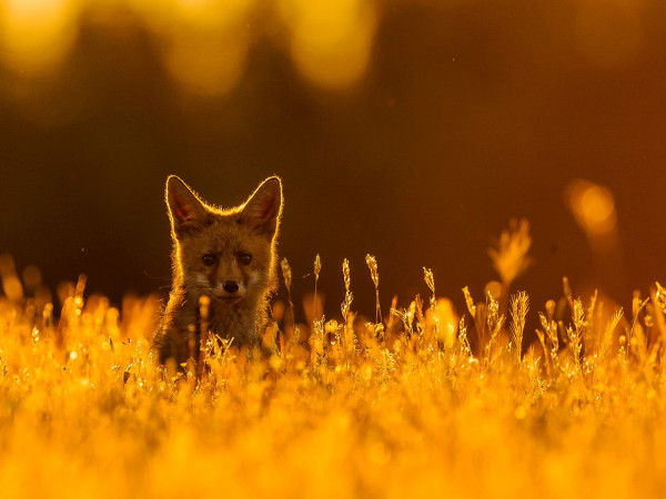 Эстремадура: природный рай в Европе