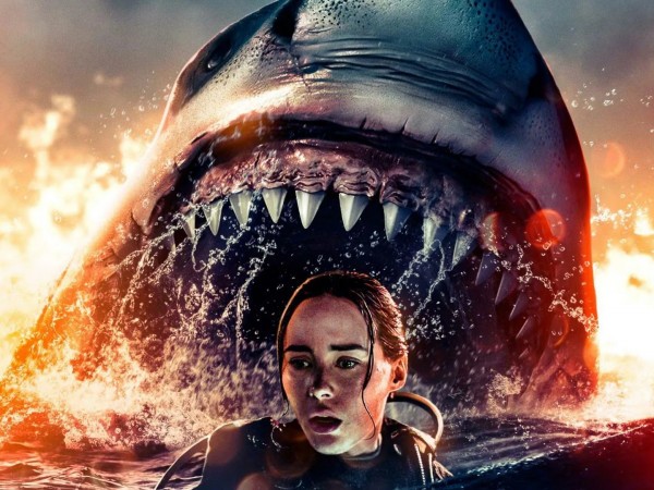 Дыхание шторма