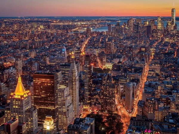 Перелетные птицы Америки