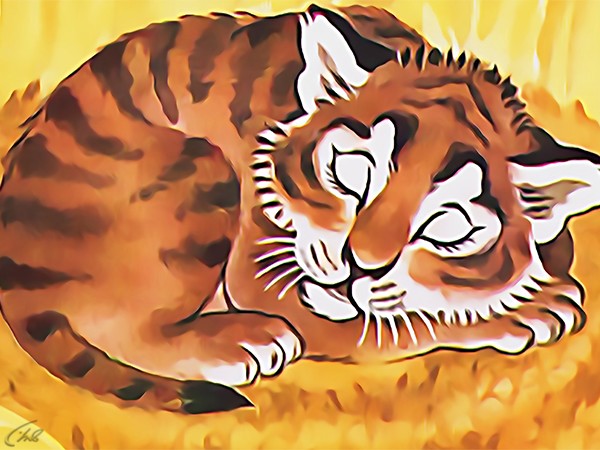 Тигрёнок на подсолнухе