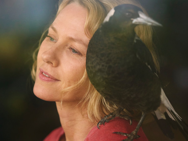 История семьи Блум