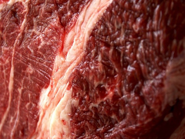 Можно ли питаться только мясом