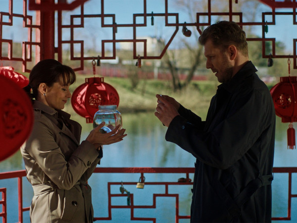 Денежное дерево