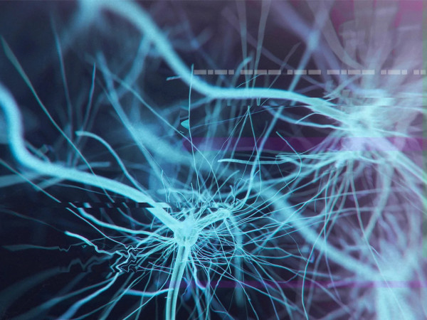 Живые чувства