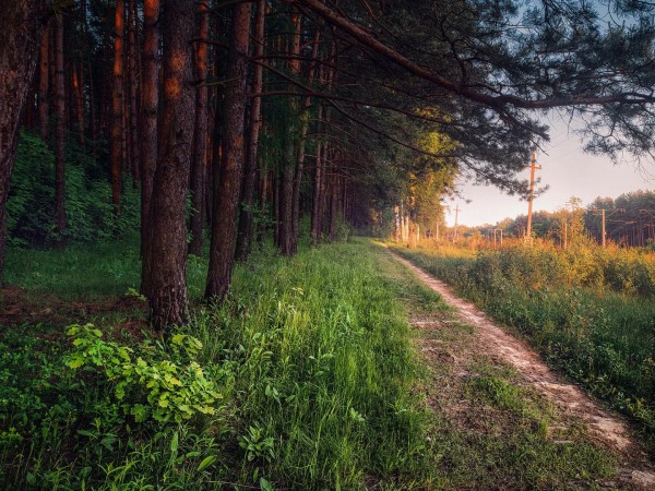 Подмосковный нейротур