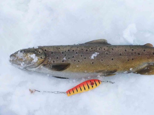 Зимняя рыбалка в Приволжье (2)