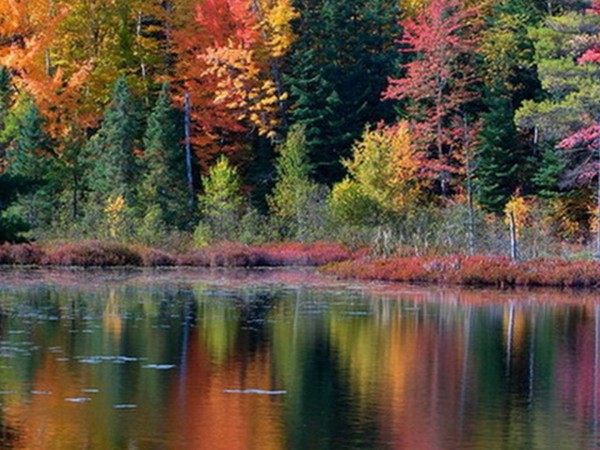 Удивительный мир