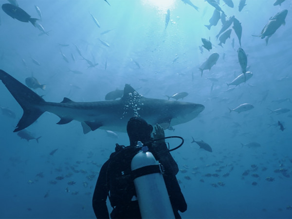 Вода и жизнь