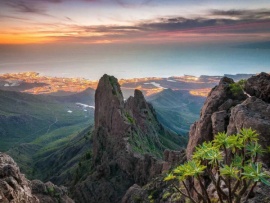 Дикая природа Канарских островов