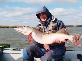 В погоне за трофеем