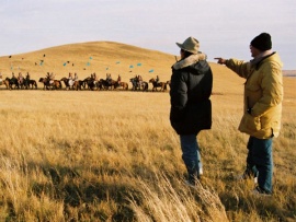 Урга: Территория любви