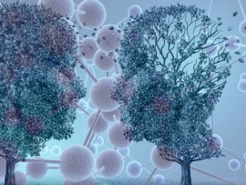 Откуда на Земле вода